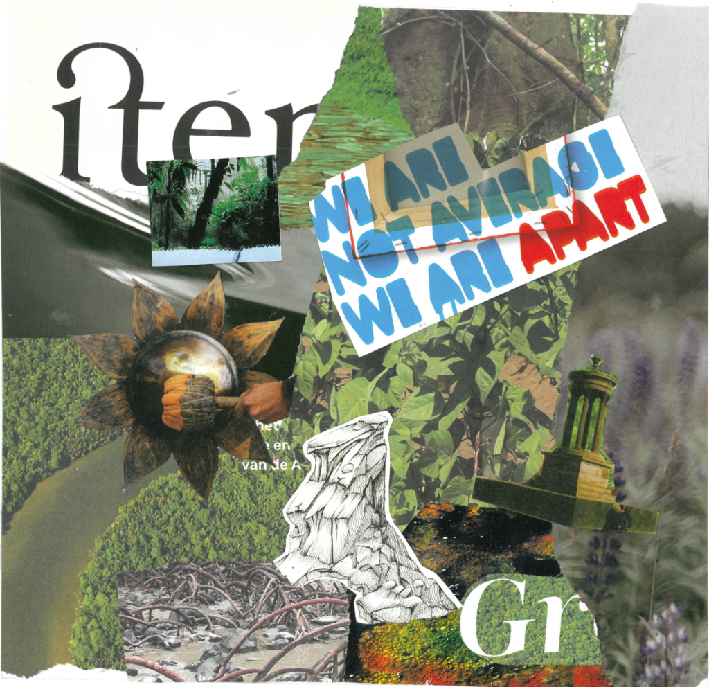 collage 3